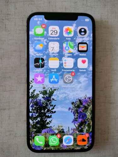 Iphone pro 256gb - 12,