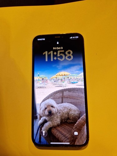 Apple iphone pro max - pro,