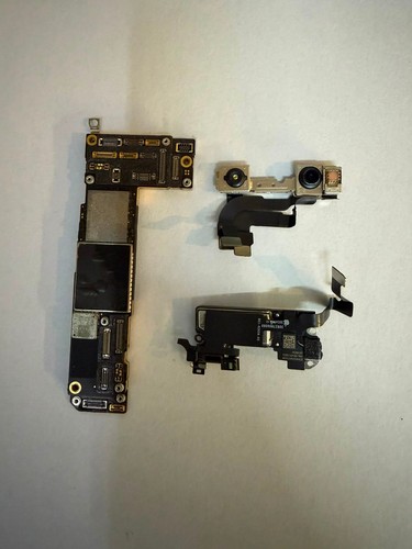 Scheda madre apple - madre,