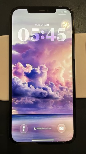 Apple iphone pro max 256 - 12,